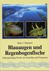 Blauaugen und Regenbogenfische: Farbenprächtige Fische aus Australien und Neuguinea