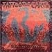 Tattoo the Earth: The First Crusade