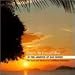 Dawn at Josiah's Bay: In the Absence of Man Series