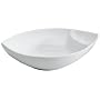 Denby/James Martin Serve Chip & Dip Bowl L32.5 x W27 x H5 cm