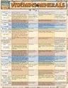 Vitamins & Minerals Quick Reference Guide (Quick Study Health)
