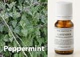 �ڥѡ��ߥ�ȥ����� 9��:�ڥѡ��ߥ�ȡ�10ml���Υ��å��󥷥�륪����/�����ϡ��ʼҡ����ܥ����޴Ķ�����ɽ�����Ŭ��ǧ������