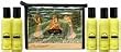 Kama Sutra Massage Therapy Kit