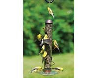 Bird Quest SBF3C 17