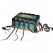 Deltran Battery Tender 12-Volt 1.25 Amp 4-Bank Battery Management System