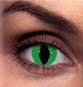 GREEN CAT REPTILE