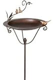Outdoor Living : Opus Expeditions 25135-1 Standing Birdbath