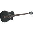 Michael Kelly Visionary AB4 - Brown Burst 4-string Acoustic/Electric Bass