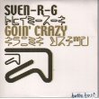 Sven-R-G - Goin