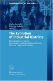 The Evolution of Industrial Districts