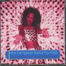 The Tamperer - If You Buy This Record You Life Will Be Better