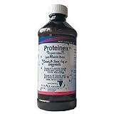 Proteinex 16 oz. Bottle, 1/Each - Orange