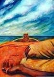 Life of Pi: Illustrated Edition