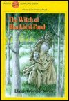 Witch of Blackbird Pond