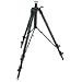 Manfrotto 3058 Studio Pro Tripod without Head for Large Format Cameras (Silver)