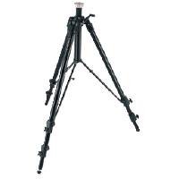 Manfrotto 3058 Studio Pro Tripod without Head for Large Format Cameras (Silver)