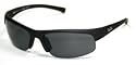 RayBan RB 4039 Predator Sunglasses