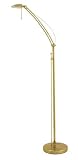 Delta Adjustable Arm Floor Standard Antique Brass Finish
