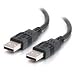 Cables to Go 28106 USB A Male to A Male Cable (2 Meter, Black)