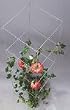 tomato cages