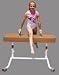 Junior Vault and Side Horse