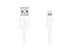 iFlash Data Cable for iPhone 6 Plus/6/5s/5C/5, iPad Air/Air 2 - Retail Packaging - White
