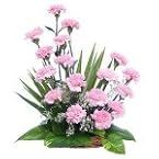 Tenderness At Its Appeal