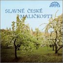 Salvne Ceske Malickosti