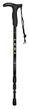 LEKI Wanderfreund Special Travel Cane