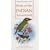 Pocket Guide to the Birds of the Indian Subcontinent (Helm Field Guides)