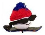 Snowboarder Dude Antenna Ball Topper