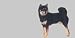 AIRBRUSHED LICENSE PLATES -AKITA License Plate - #1694