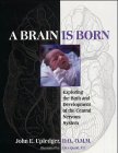 Brain is Born, A: Exploring the Birth and Development of the Central Nervous System