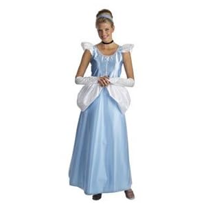 Cinderella Costume Adult