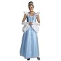 Cinderella Costume Adult