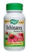Echinacea Purpurea Herb - 100 - Capsule