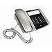 DeTeWe BeeTel 41, Schnurgebundenes analoges Telefon
