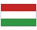 Flagge Fahne Ungarn 90 * 150 cm