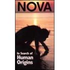 Nova: In Search of Human Origins (3pc) [VHS]