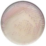 215084 PT# 215084- CHROMagar MRSA 20/Pk by, B-D Microbiology