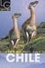 Book Let's Go Chile (Let's Go)