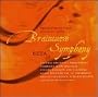 Brainwave Symphony: Beta
