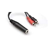 Stereo Y-Cable 1/4" Trsf To Dual Rca With White Earbud Headphones