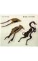 Betel Cutters: From the Samuel Eilenberg Collection