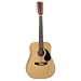12 String Dreadnought from Amigo
