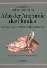 Produkt-Bild: Atlas der Anatomie des Hundes. Lehrbuch f&uuml;r Tier&auml;rzte und Studierende