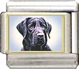 Clearly Charming Black Labrador Italian Charm