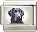  - Clearly Charming Black Labrador Italian Charm