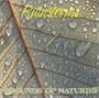 RAINSTORM