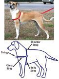 Pet Supplies : Premier Easy Walk Harness Black, Medium